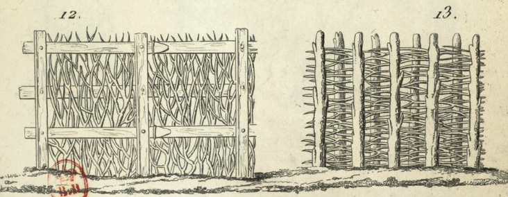 illustration ancienne d'une haie sèche.